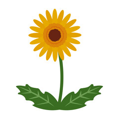 ガーベラのフラットベクターアイコンイラスト