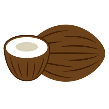 brown coconuts, cut open, white interior clip art preview