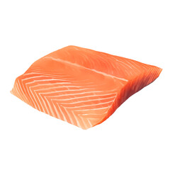 fish meat with style hand drawn digital painting illustration