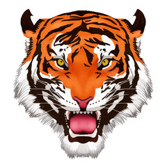 tiger head with style hand drawn digital painting illustration