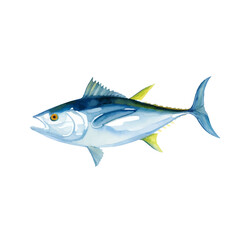tuna with style hand drawn digital painting illustration