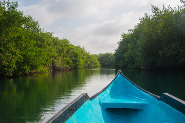 mangrove swamp in coveñas colombia by the sea tropical forest at the beach with blue boat pov