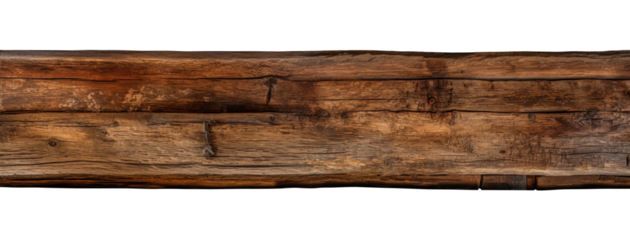 Oak wood bean Transparent png background by Vita. 