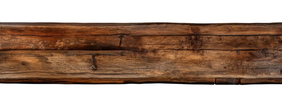 Oak wood bean Transparent png background by Vita. 