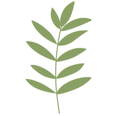 Illustration of branch leaves 