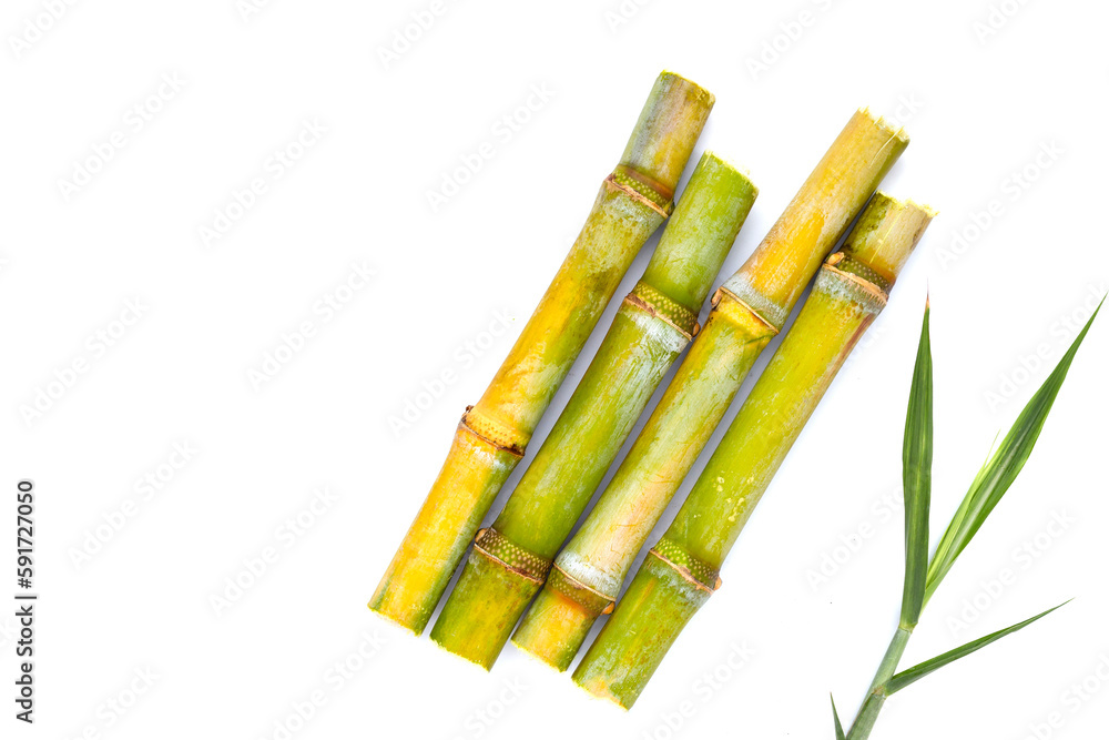 Canvas Prints sugar cane on white background.