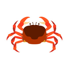 サワガニ。フラットなベクターイラスト。
Japanese freshwater crab. Flat designed vector illustration.