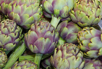 green artichokes just collected for sale at the fruit and vegetable market