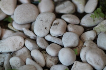 irregular clusters of white stones