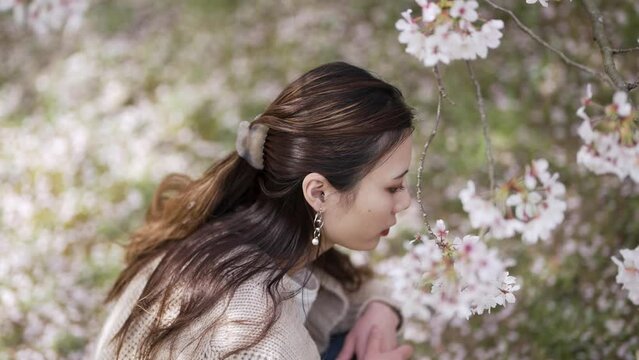 桜の花と女性