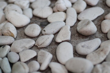 irregular clusters of white stones