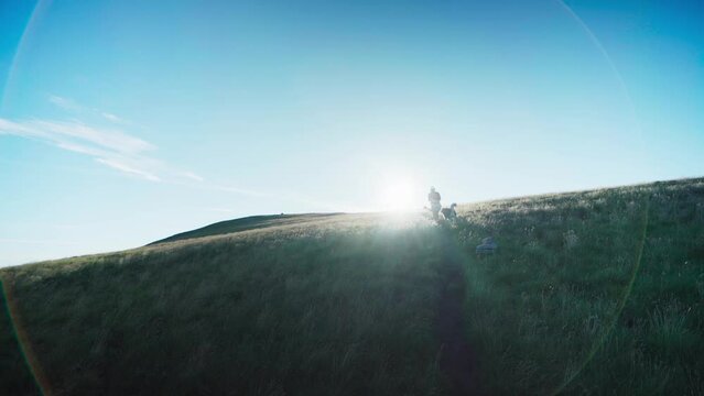 Female Portrait Walking On Green Grass Field With Dog Companion Against Sunlit Background In Norway. low angle, wide