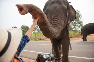 female traveler holding the camera for taking pictures. woman traveler with backpack holding hat...