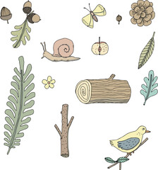 snail,leaf,bird and butterflie hand drawn set