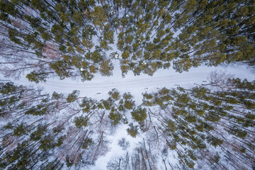 Aerial view of the road in the winter forest with high pine or spruce trees covered by snow. Driving in winter.