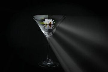 water lily in a cocktail glass. Lighting from the side