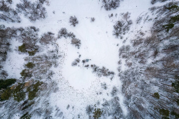 Aerial view of a winter pine forest. Top view of snow-covered pine trees. Beautiful winter forest landscape.