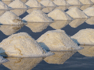 Salt fields evaporate into salt.