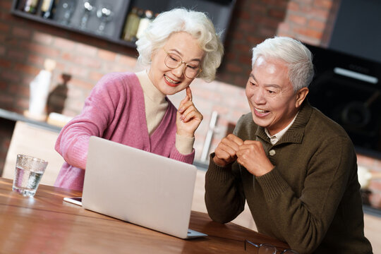 Elderly couple using laptop at home