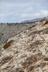 Goats are resting in the rocks on the mountainside. White goats walk and graze on a steep mountainside in Dagestan, Russia.