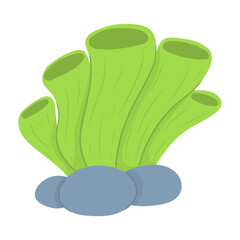 underwater plant cartoon vector illustration 