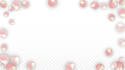 Pink Vector Realistic Petals Falling on Transparent Background.  Spring Romantic Flowers Illustration. Flying Petals. Sakura Spa Design. Blossom Confetti. Design Elements for Wedding Decoration.