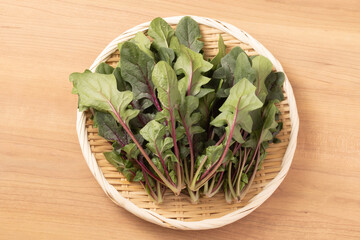 赤茎ほうれんそう