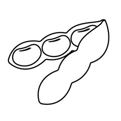 Edamame Nut Line Icon Clipart Soy Bean Vegetable Vector Illustration