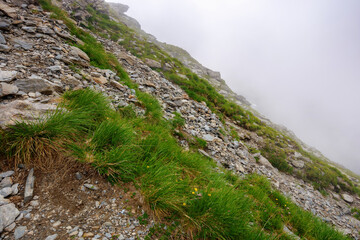 mysterious beauty of fagaras. nature scenery on a hazy weather in summer. mountain landscape with rocky hills