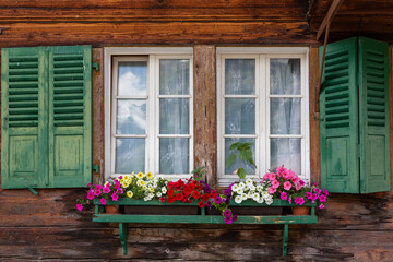 Fototapeta na wymiar Beautiful flowerbox displays on Swiss chalets in the village of Murren, a traditional Walser mountain village in the Bernese Highlands of Switzerland, halfway up the Schilthorn Mountain.