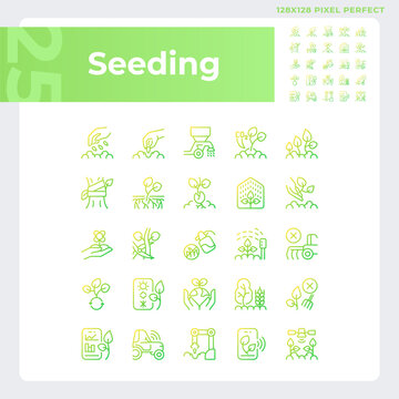 Seeding gradient linear vector icons set. Agricultural industry. Gardening business. Growing plants. Field sowing. Thin line contour symbol designs bundle. Isolated outline illustrations collection
