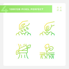 Growing plants gradient linear vector icons set. Organic gardening. Seed germination. Horticulture farming. Thin line contour symbol designs bundle. Isolated outline illustrations collection