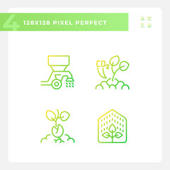 Plant development gradient linear vector icons set. Growing process. Seedling growth. Sustainable agriculture. Thin line contour symbol designs bundle. Isolated outline illustrations collection