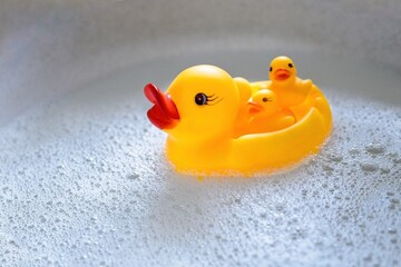a rubber duck with three ducklings swims in the foam. View from above - 591758452