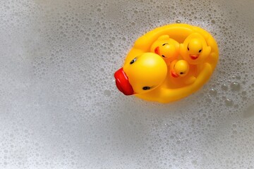 a rubber duck with three ducklings swims in the foam. View from above - 591758454