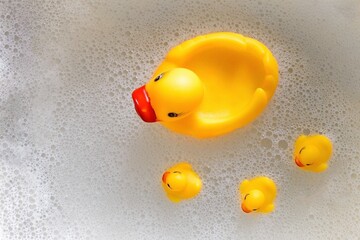 a rubber duck with three ducklings swims in the foam. View from above - 591758459