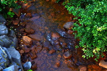Stream in Mount Rainier National Park, Washington