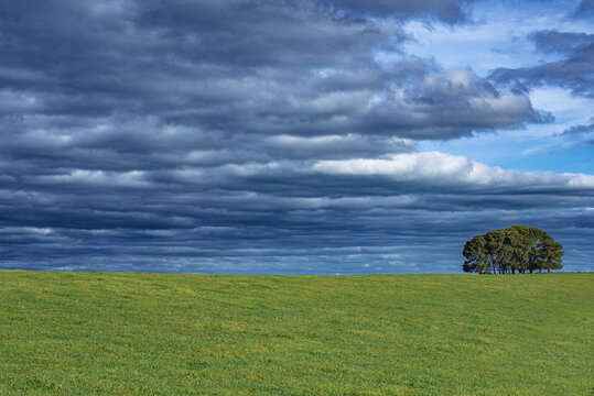 Storm clouds in sky over green field 