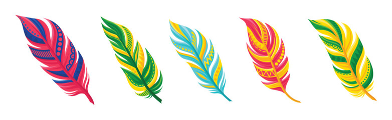 Decorative Curved Feathers as Avian Plumage Vector Set © Happypictures