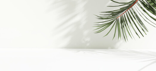 Minimal, modern white counter table, green tropical palm tree in sunlight, leaf shadow on countertop, wall background for luxury fresh organic cosmetic, skincare, beauty treatment product 3D