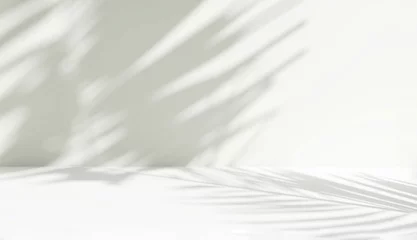 Fototapeten Blank minimal white counter podium, soft beautiful dappled sunlight, tropical palm foliage leaf shadow on wall for luxury hygiene organic cosmetic, skincare, beauty treatment product background 3D © Sue Tansirimas