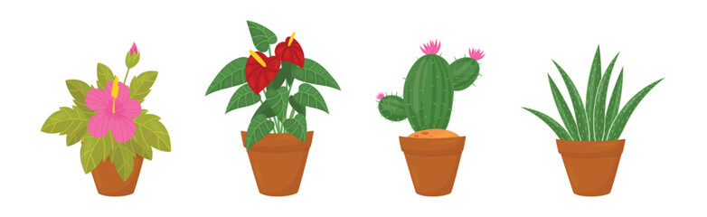 Flowers and Plants Growing in Ceramic Pots Vector Set