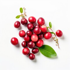 Top view of fresh raw organic ripe red cranberries and green leaves with white background Generative AI Illustration