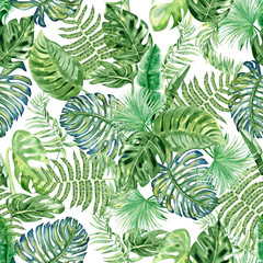 Tropical leaves seamless watercolor pattern. Hand drawn illustration of green plant branches isolated on white background. Jungle ornament. Summer print for clothes and wallpaper. Exotic background...