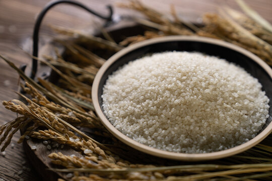 rice