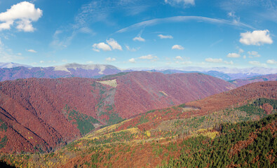 Colorful mountain slopes in autumn Carpathian. Morning misty panorama.