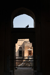 Fototapeta premium Hauz Khas fort monuments is a tourism place located in New Delhi, India
