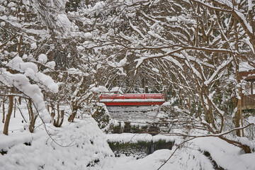 雪化粧の三千院