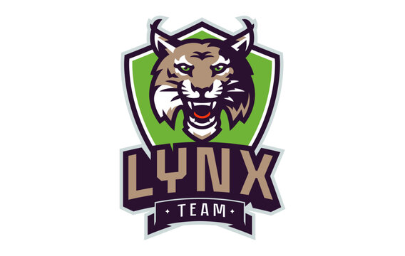 Sports logo with lynx mascot. Colorful sport emblem with lynx, bobcat mascot and bold font on shield background. Logo for esport team, athletic club, college team. Isolated vector illustration