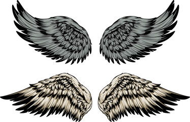 Bird wings illustration tattoo style. Hand drawn design element.
